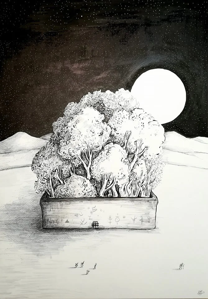 An enclosed wilderness