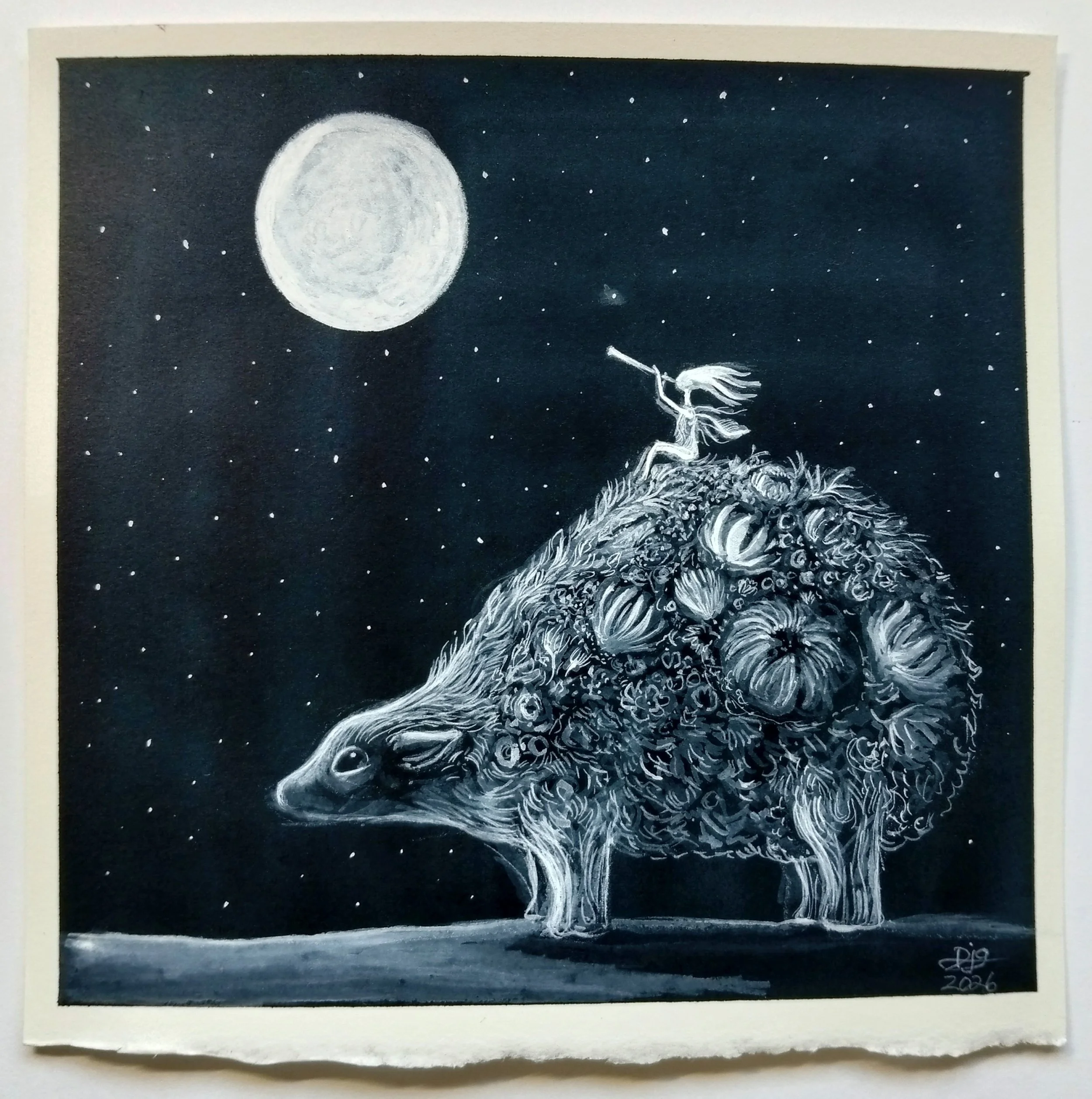 Nocturne 