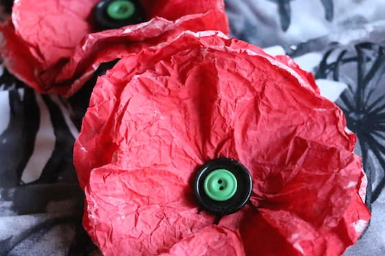 paper poppy.jpg