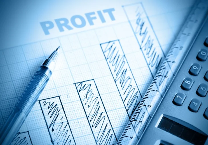 profit increase.jpg