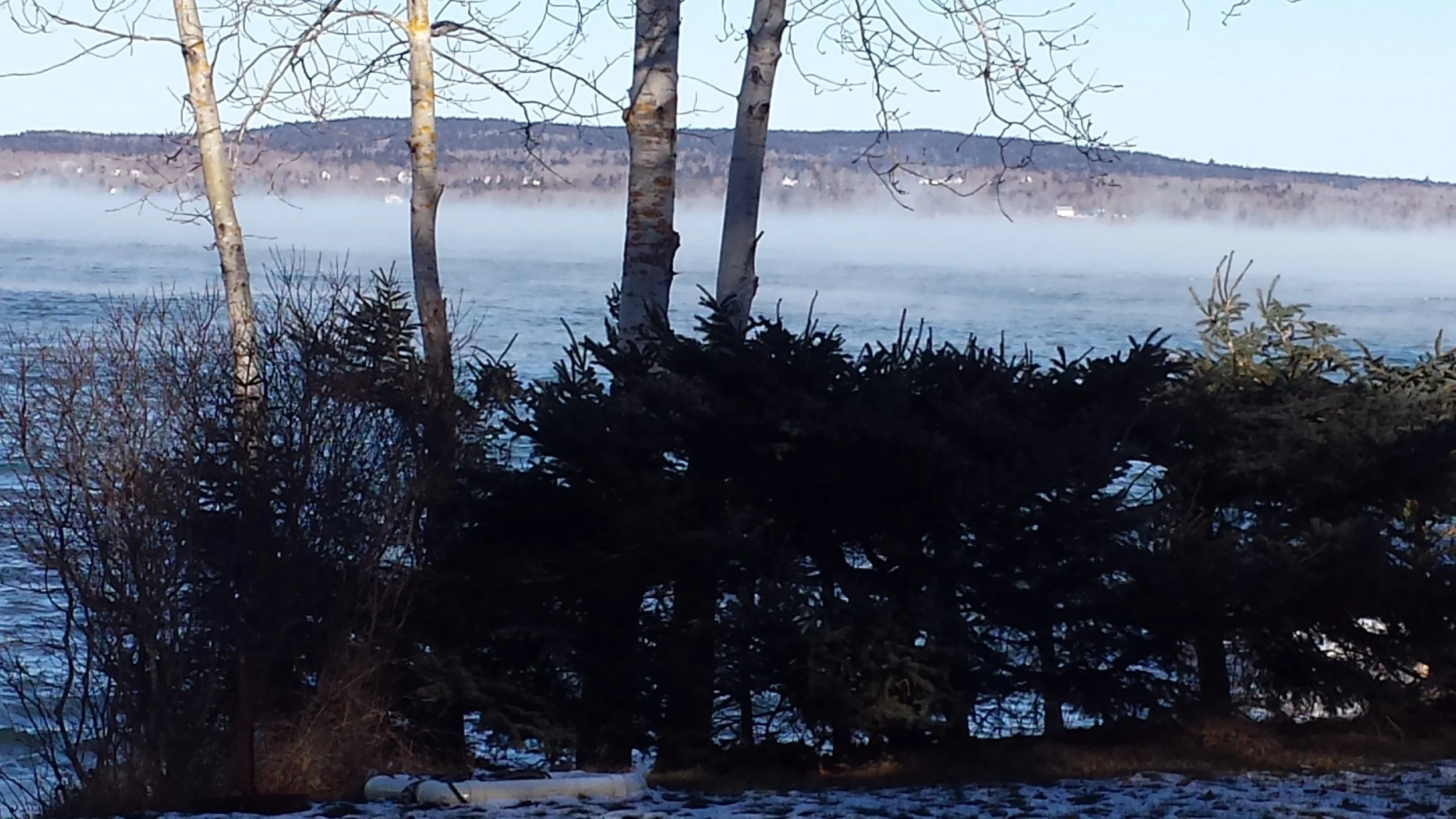 Sea smoke by Renee 2016.jpg