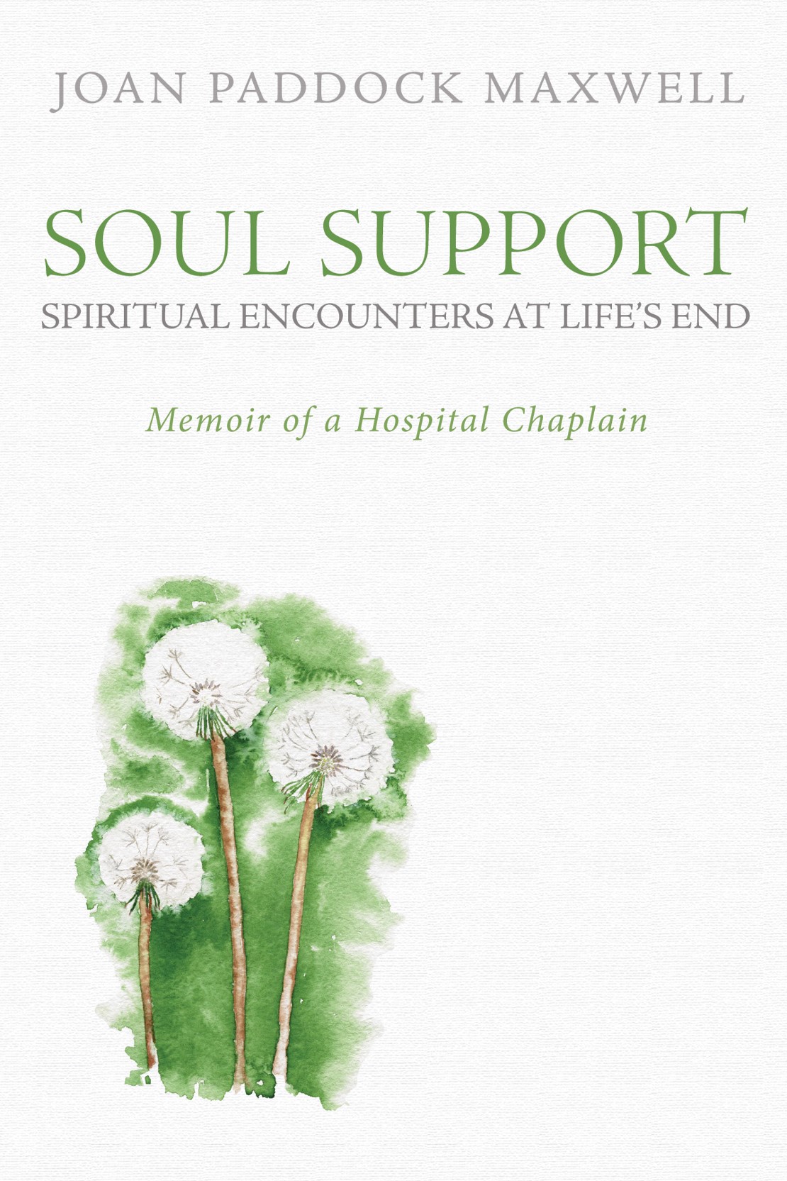 book cover.jpg