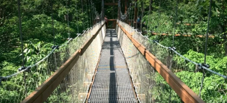 WOMEN'S GROUP TRAVELING TO HOLDEN ARBORETUM