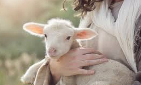 Good Shepherd Sunday