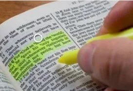 Bethel Bible Series