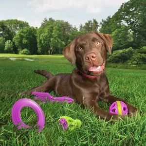 Kurgo Yard Games Package