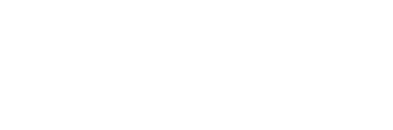 ORION LEGAL GROUP