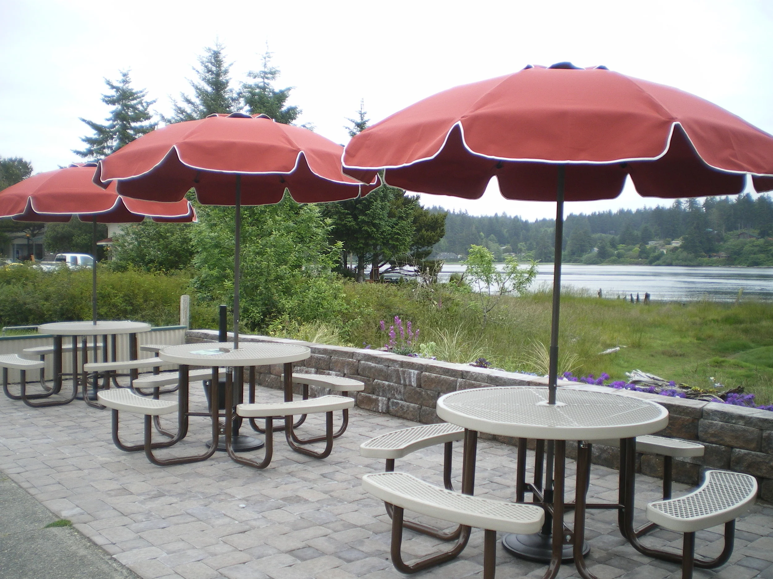 June 12 2011 091.JPG