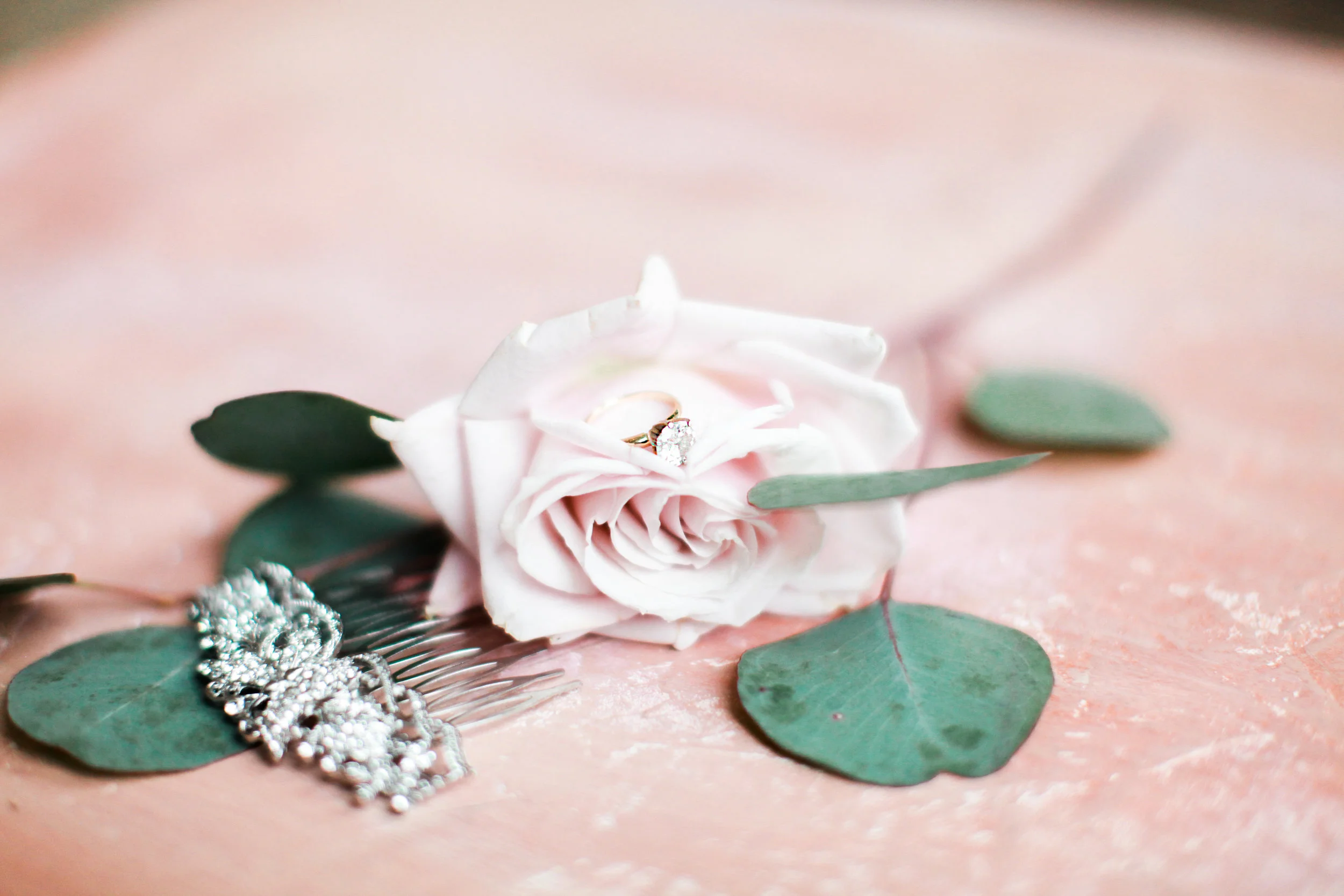 IMG_4288-Edit.jpg