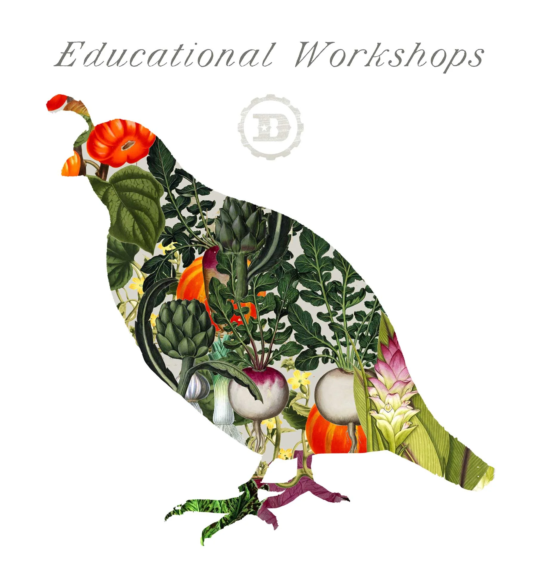 Educational Workshops 