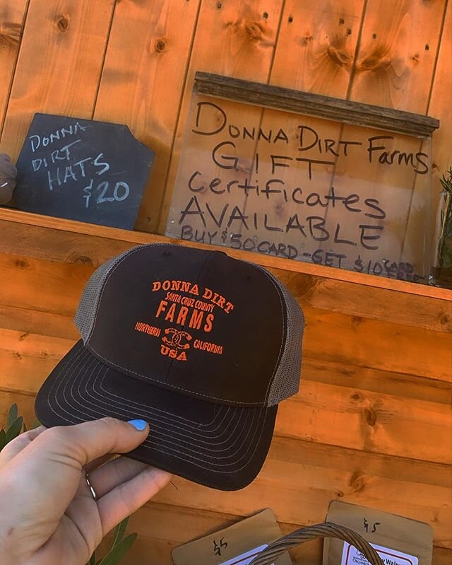 We have DONNA DIRT FARMS HATS!! Want one for you or a loved one?!? DM US! $20 and we ship! We can take cash, check or credit card! NOT AVAILABLE ON OUR WEBSITE so make sure you DM us if you want one! Or stop by the FARM STAND and grab one yourself! W