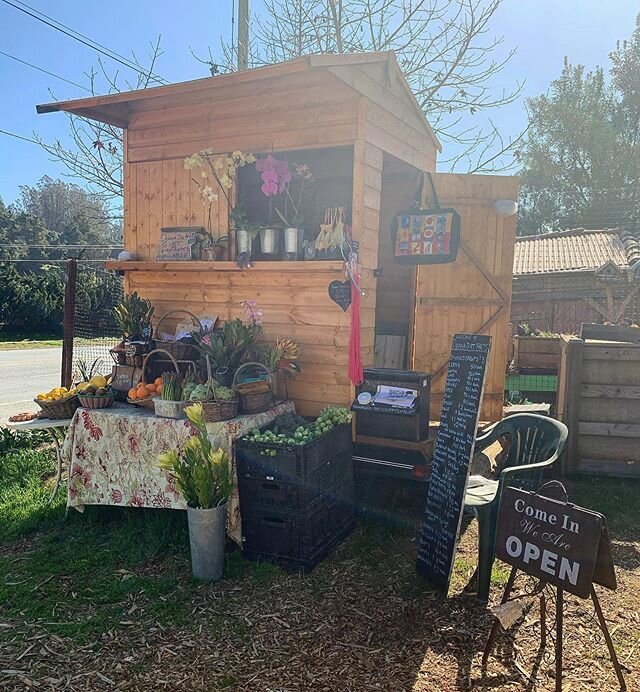 Restocked daily! Come check out the new DONNA DIRT FARM STAND! Veggies,flowers, fruits, and other fun stuff! Cash and Venmo accepted! Please use honor. Open rain or shine, night or day!