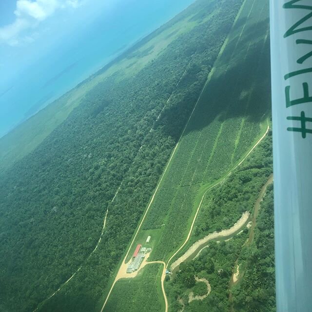 Donna Dirt was loving all this...... isolation was the plan! All the waterfalls, friends, cayes, fishing, farm search and study, planting and planning for more farm projects....will have to be put on hold!!! due to Belize closing borders(thank you), 