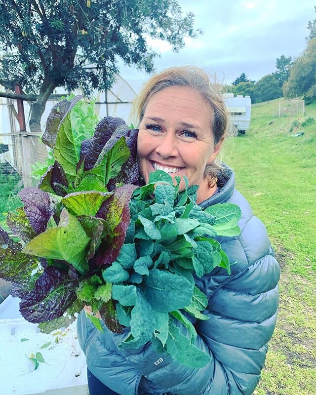 The one and only Donna Dirt prepping some Red Mustard Greens and Baby Dino Kale for Farmer&rsquo;s Markets tomorrow and this weekend! Come get it! 🥬 🌱