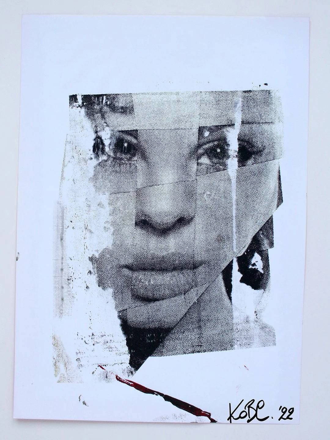 KobeDeKeyzer-screenprint-art-mixed face-celebrity-mashup-IMG_7969.jpeg