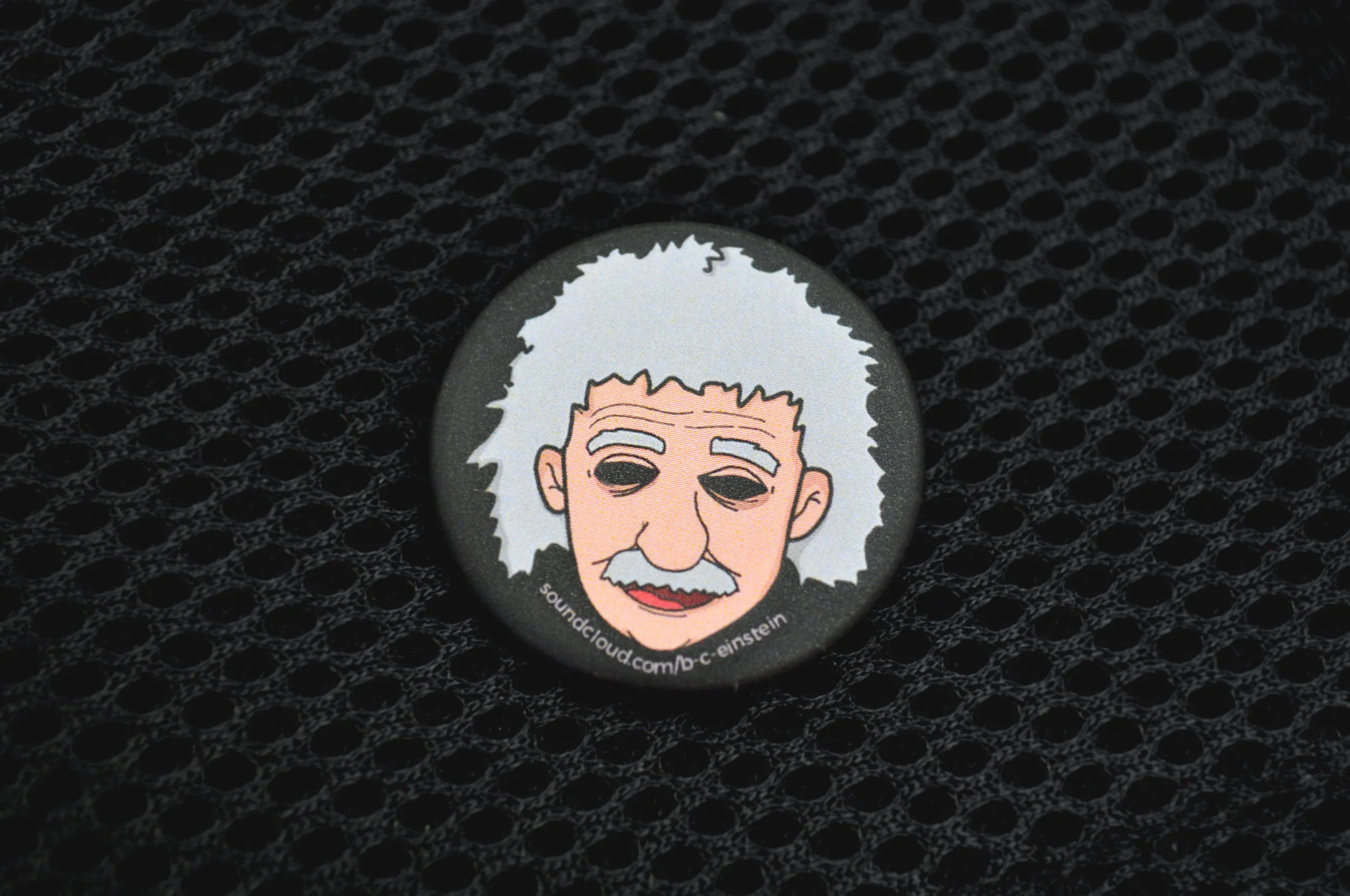 BC Einstein Pin.jpg