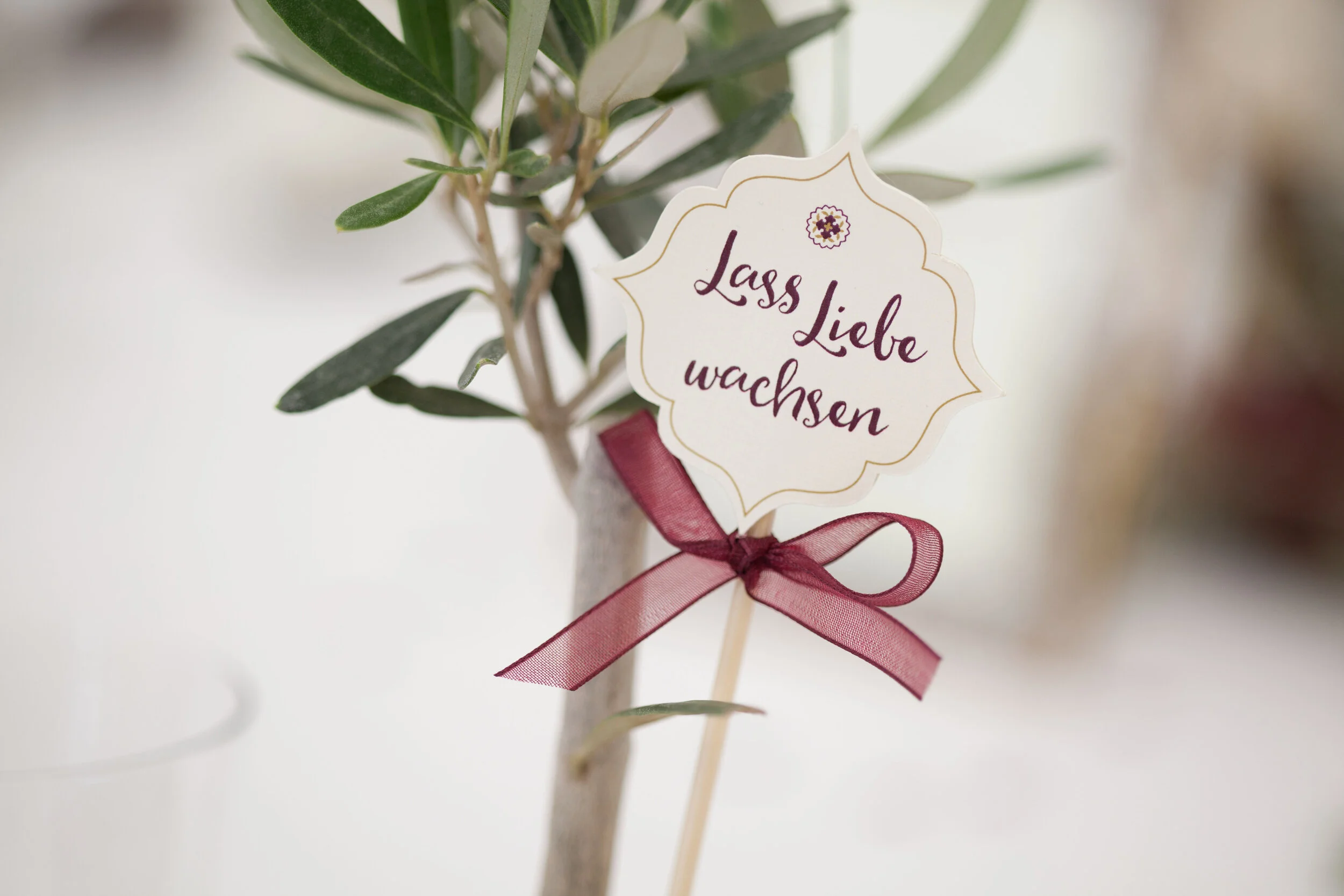 rosemarrylemon_bc_hochzeitspapeterie.jpg