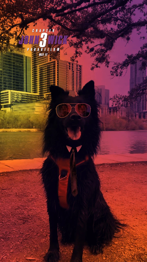 Dog_1.gif