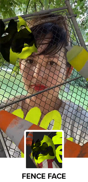 fence.gif