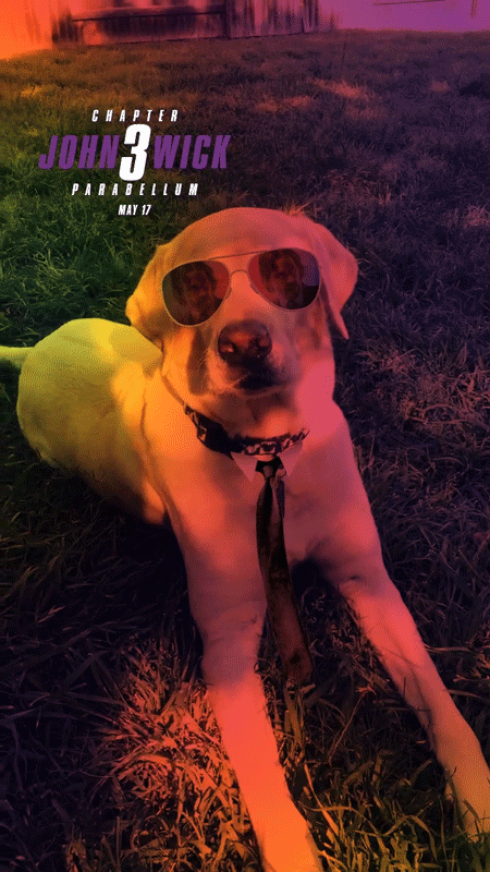 lab.gif