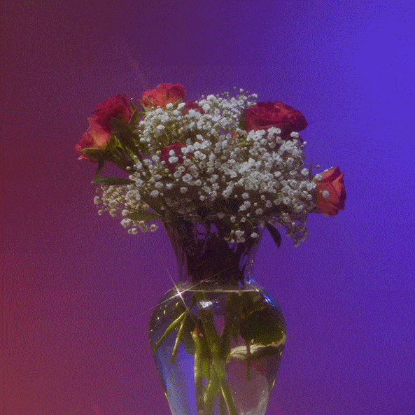 roses_sml.gif