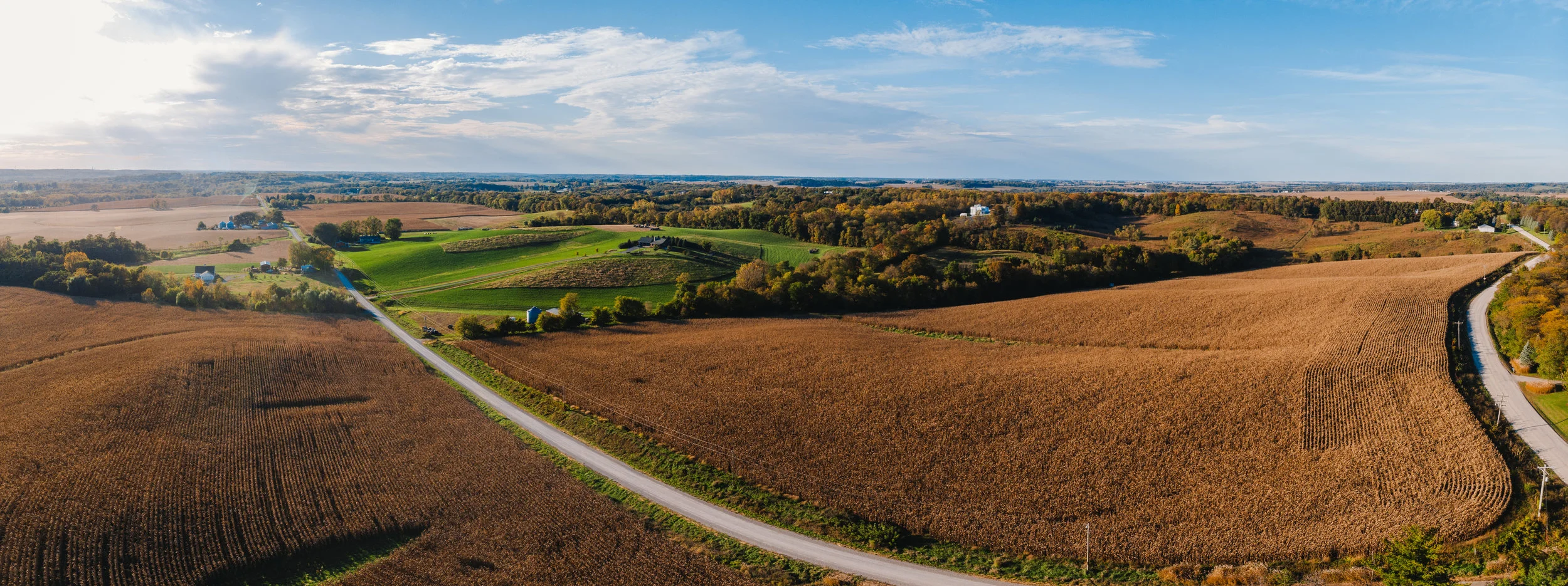 FARM HARVEST photos-5.jpg