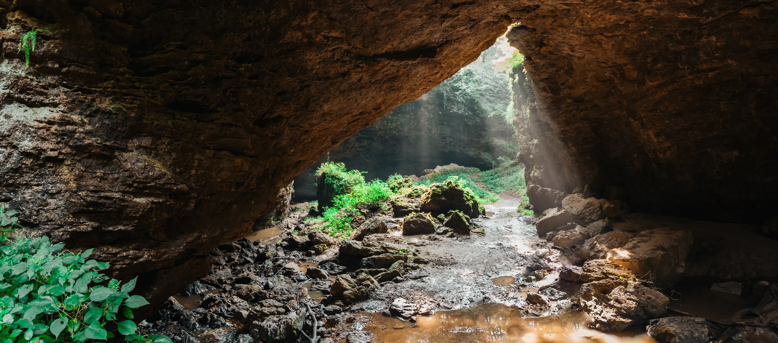 CAVES-1.jpg