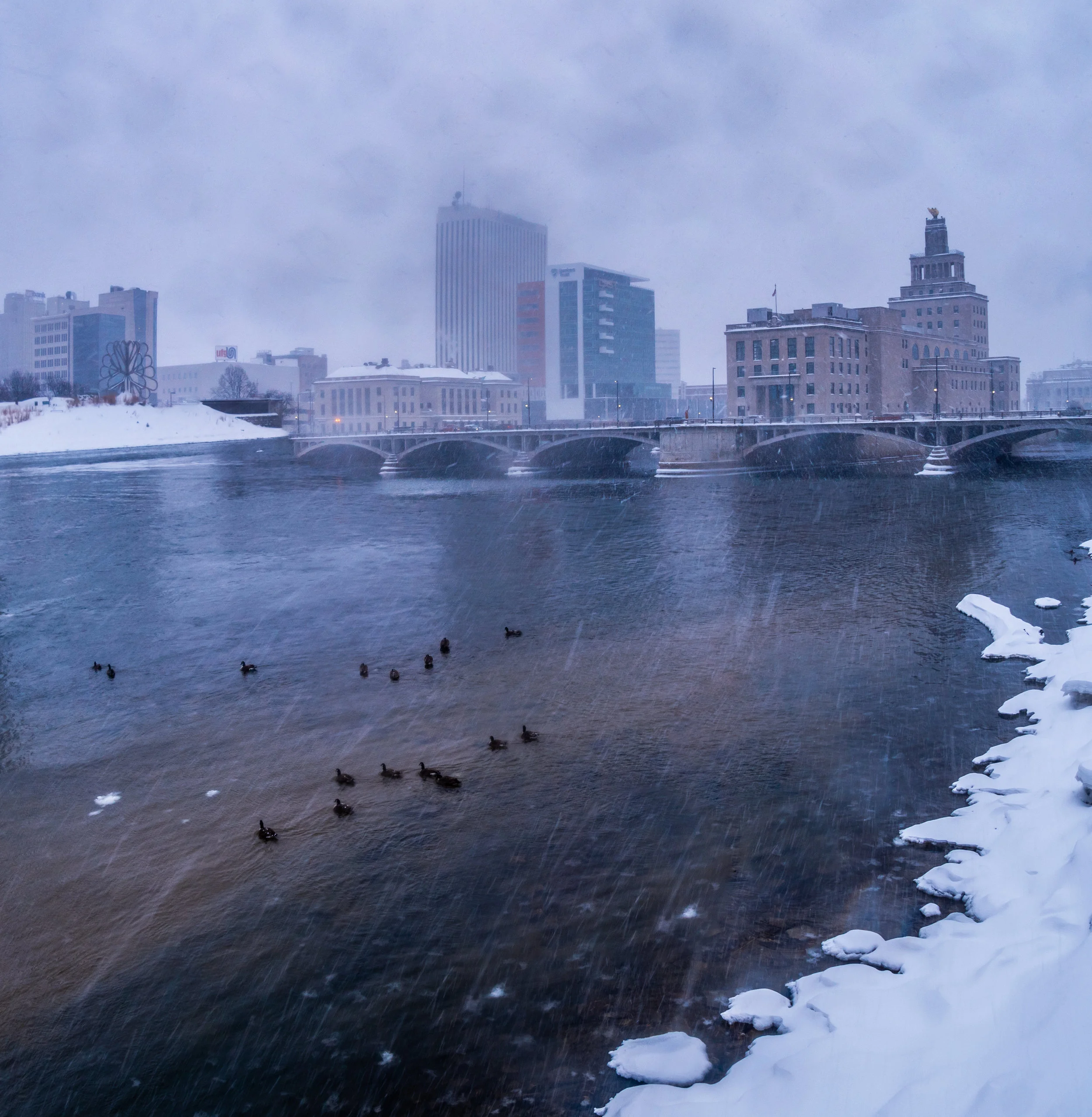 Snowy CR-2.jpg