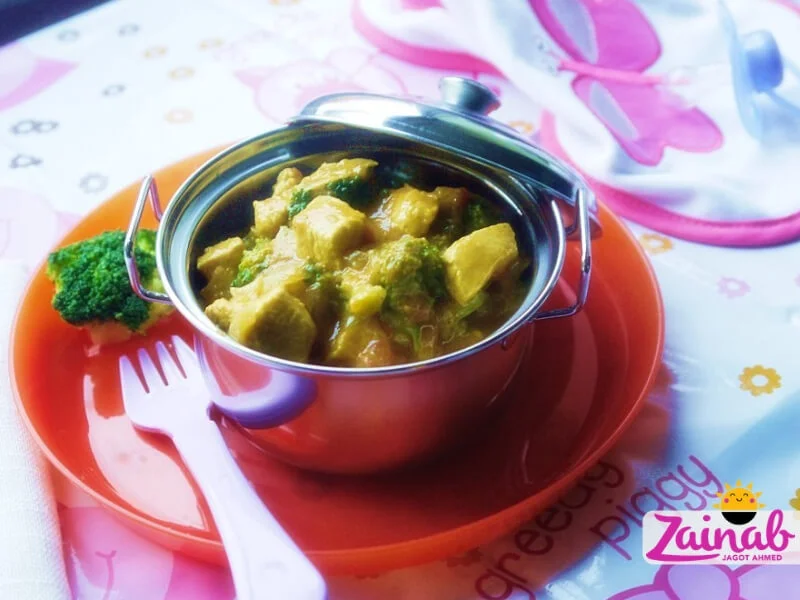 Coconut Chicken Curry - a baby led weaning curry recipe for babies and toddlers. A flavoursome baby food idea, Stage 3 weaning, 10+ months.