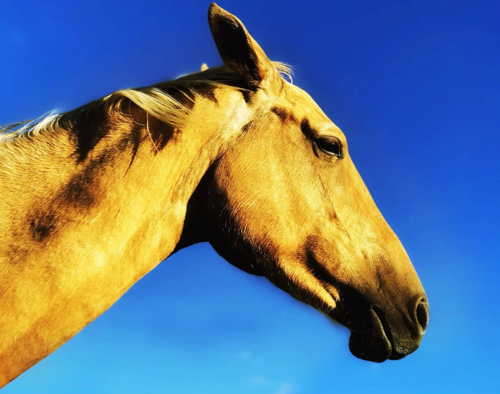 Dalpina at sunset.JPG