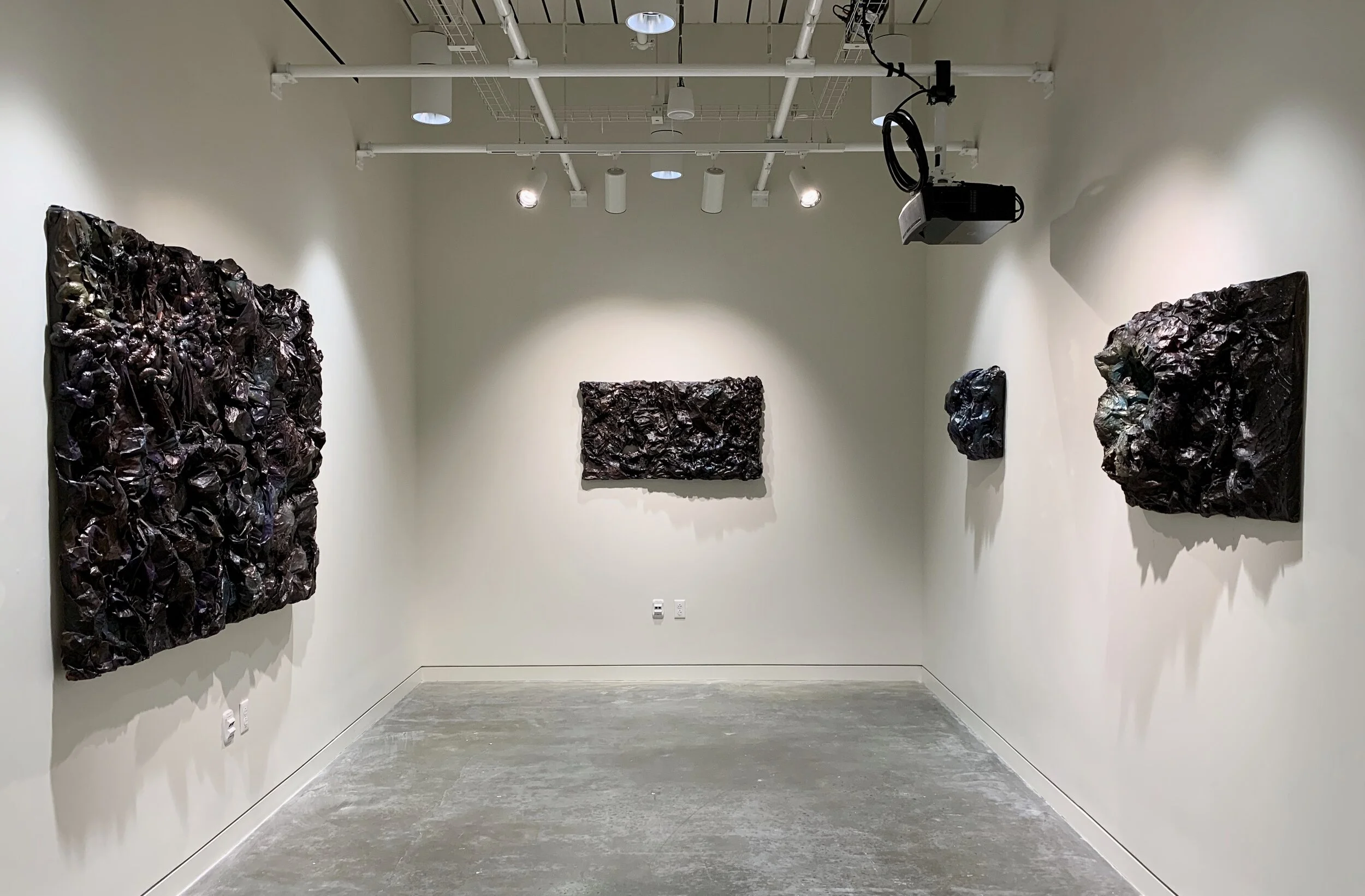 Latent Collections Installation View at Washington University in St. Louis' Weil Hall