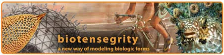 Biotensegrity