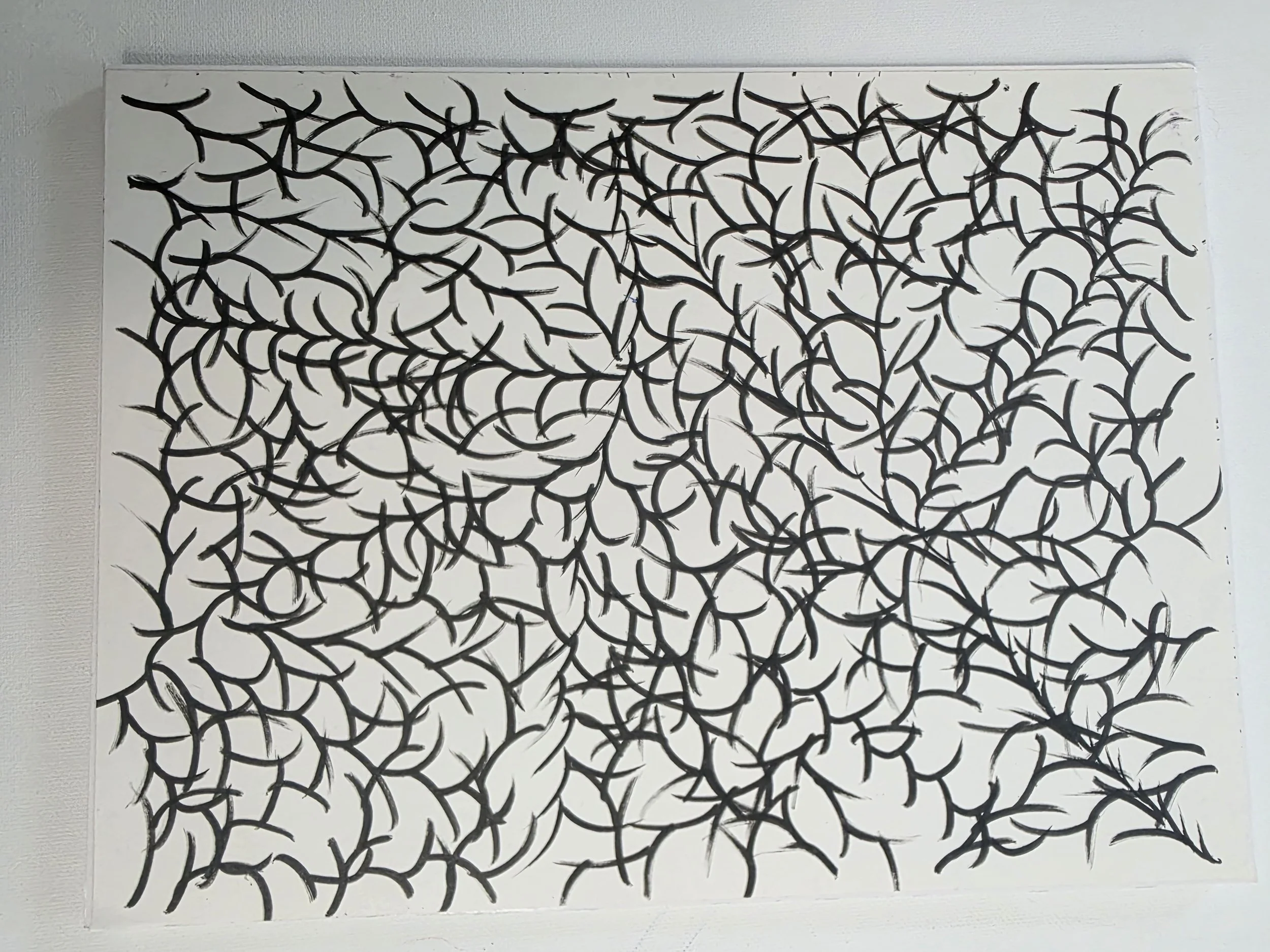 Blanket of Thorns