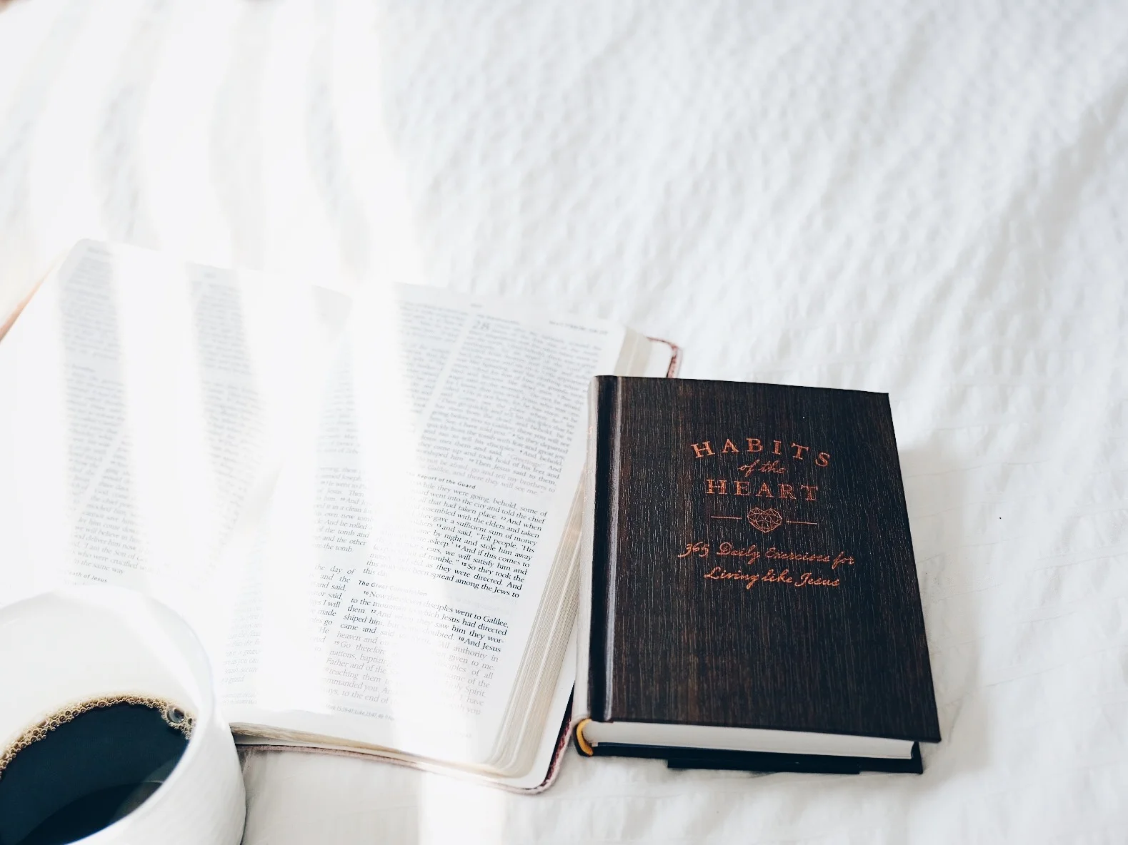 Habits is here! With a sneak peak inside...