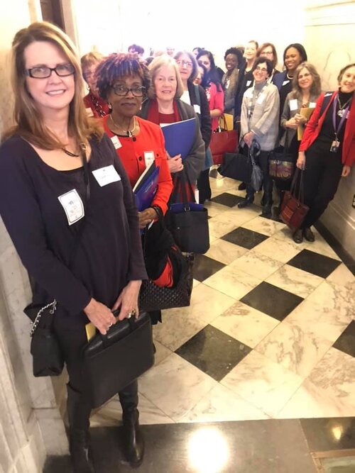 WDC Legislative Day Annapolis 2019.jpg