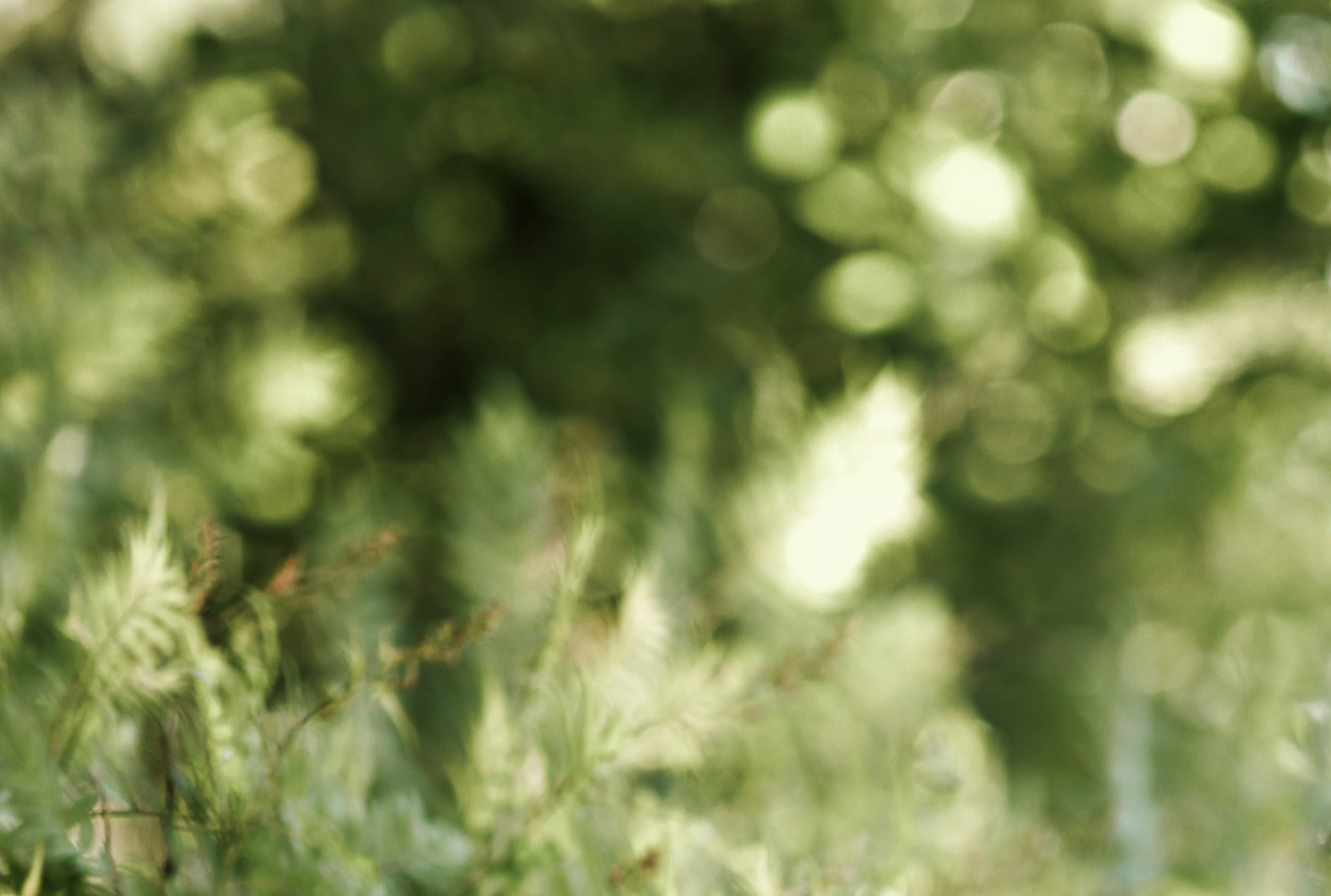 Background2.jpg
