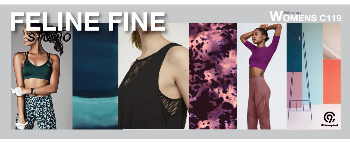 FELINE-FINE-web.jpg