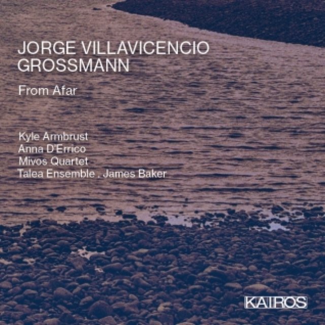 Jorge Villavicencio Grossman // From Afar