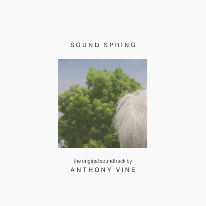 Anthony Vine // Sound Spring