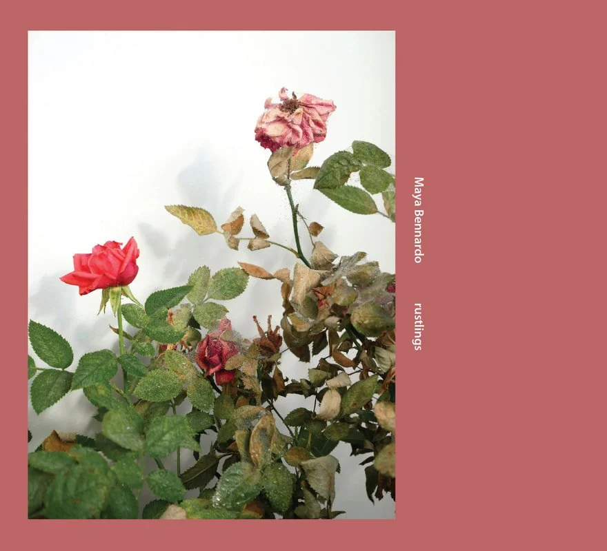 Maya Bennardo // rustlings