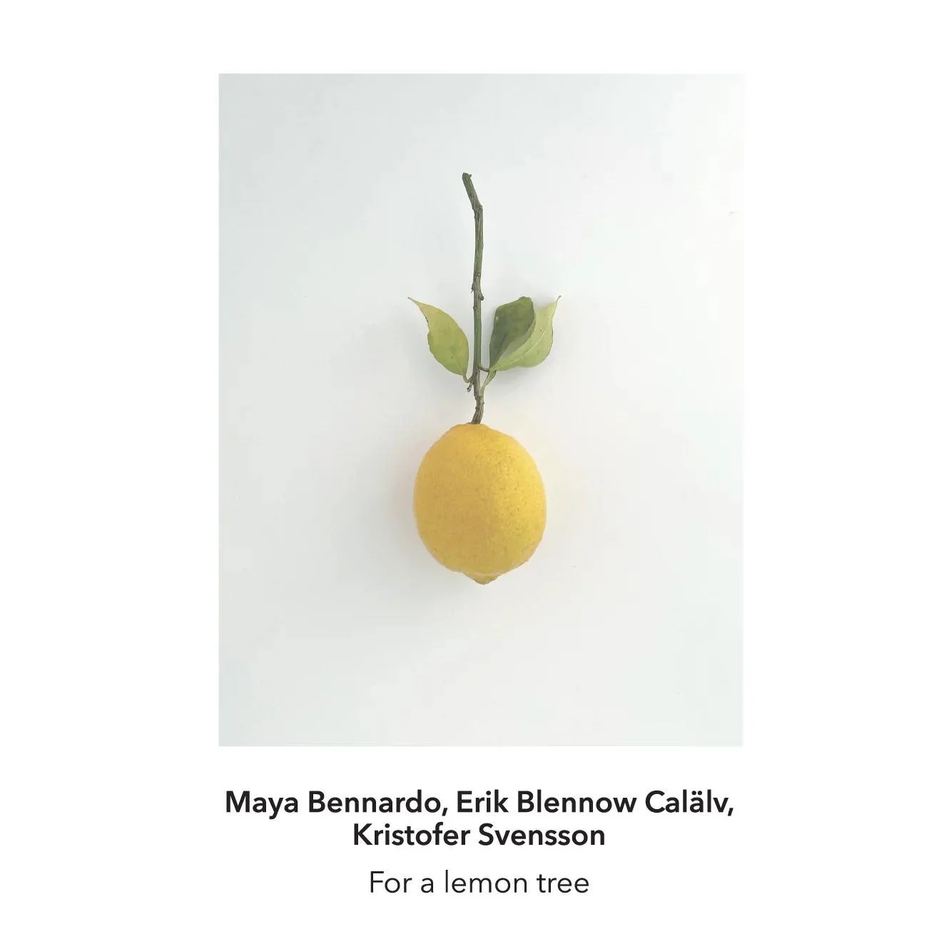 Bennardo, Blennow Calälv, Svensson // For a lemon tree