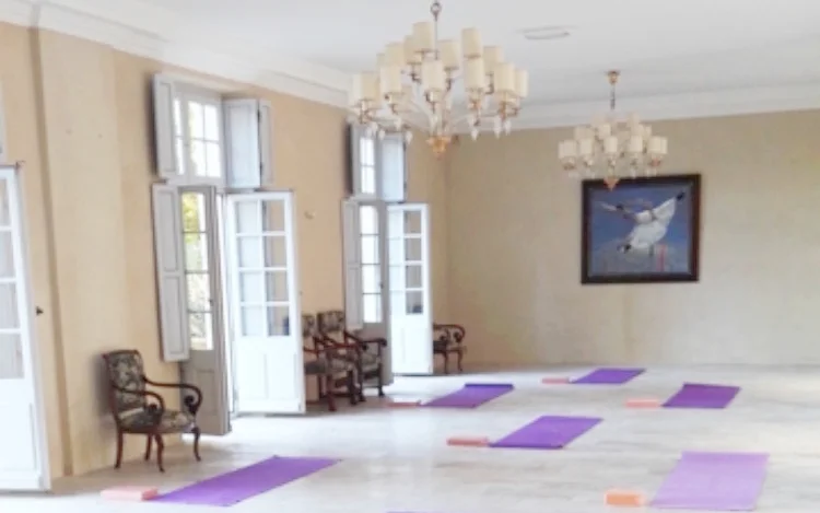 YOGA THIN.jpg