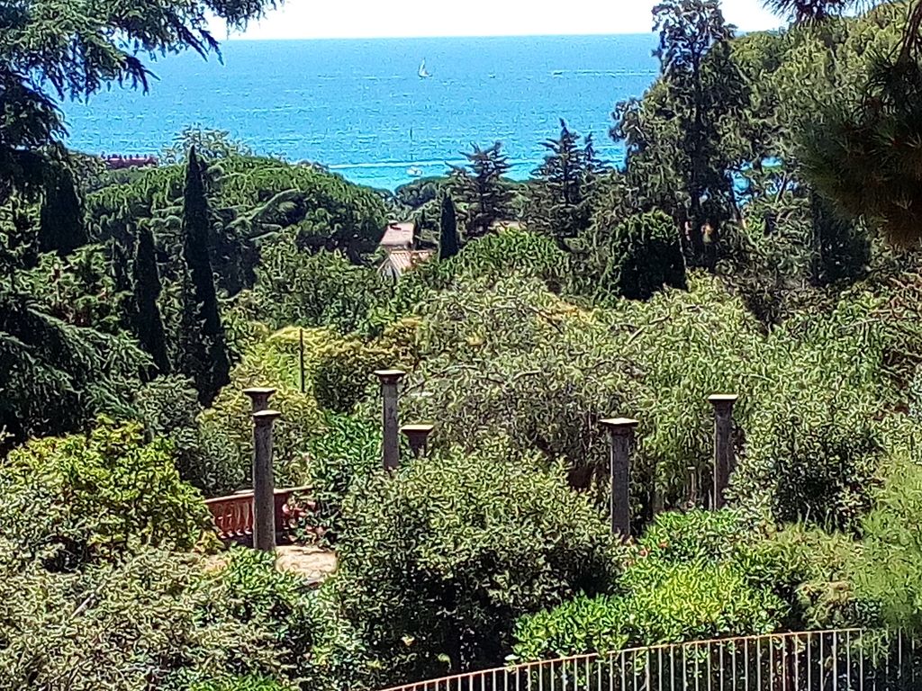 View.jpg