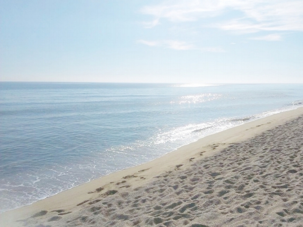 beach.jpg
