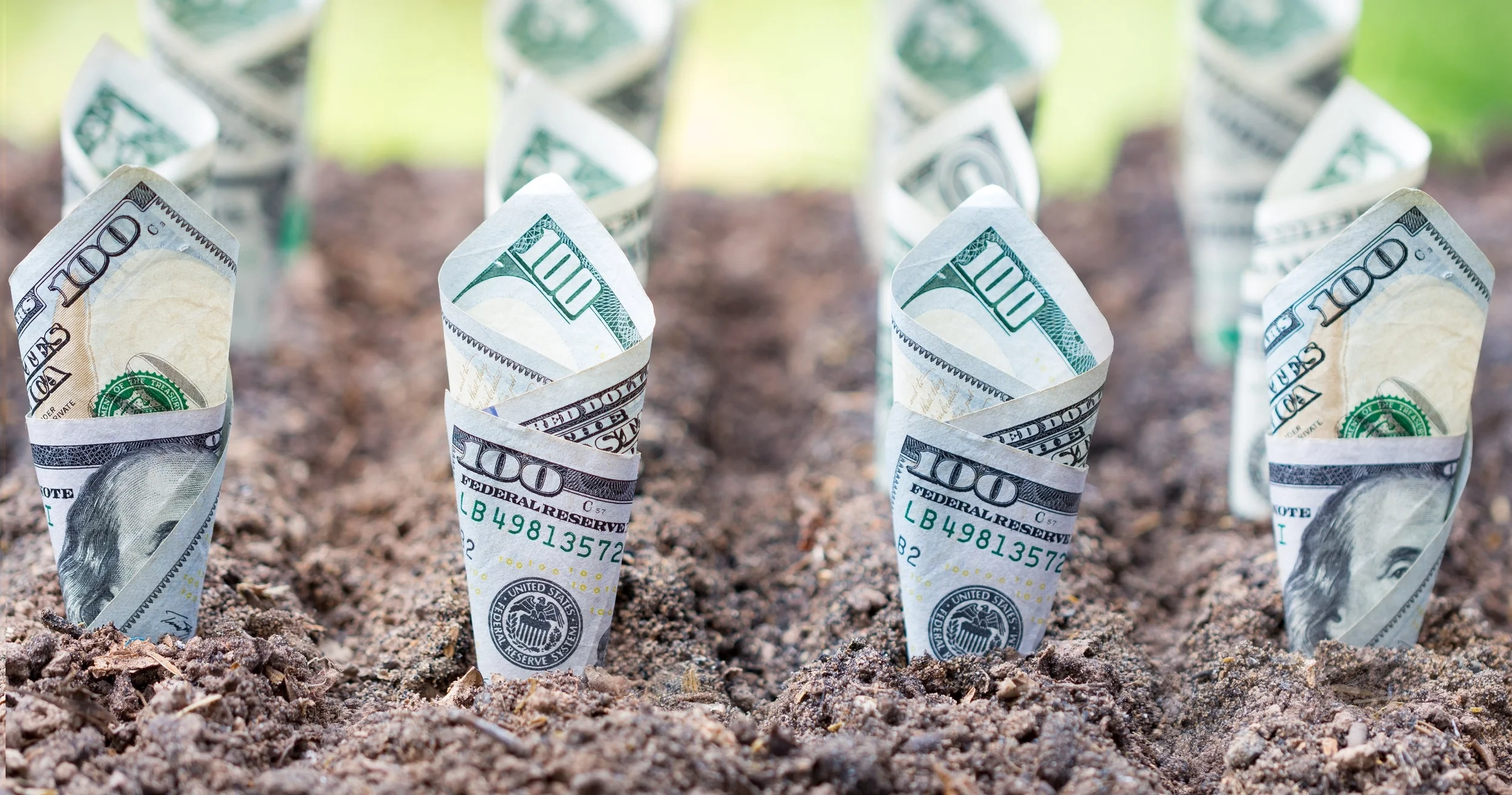 Vegan mafia investors bet on plant-based companies.