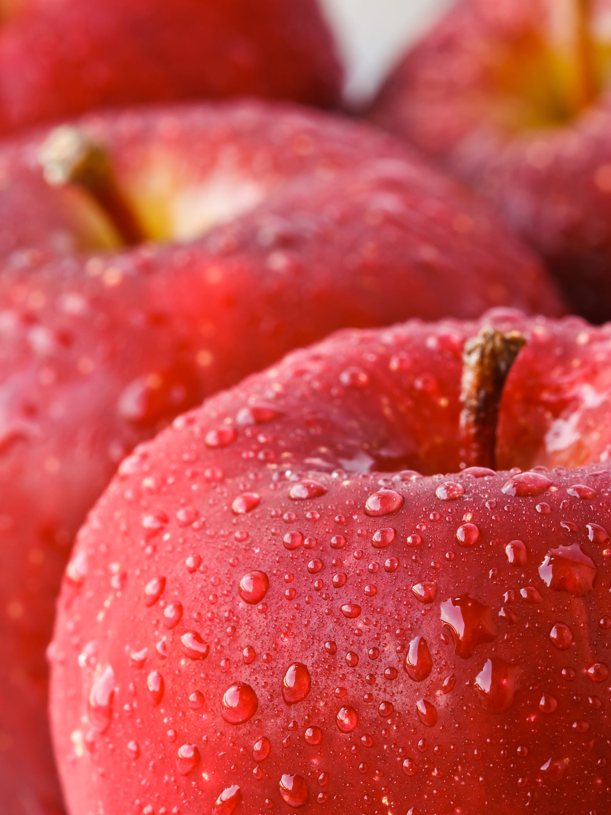 red-apples-plant60-phase-one.jpg