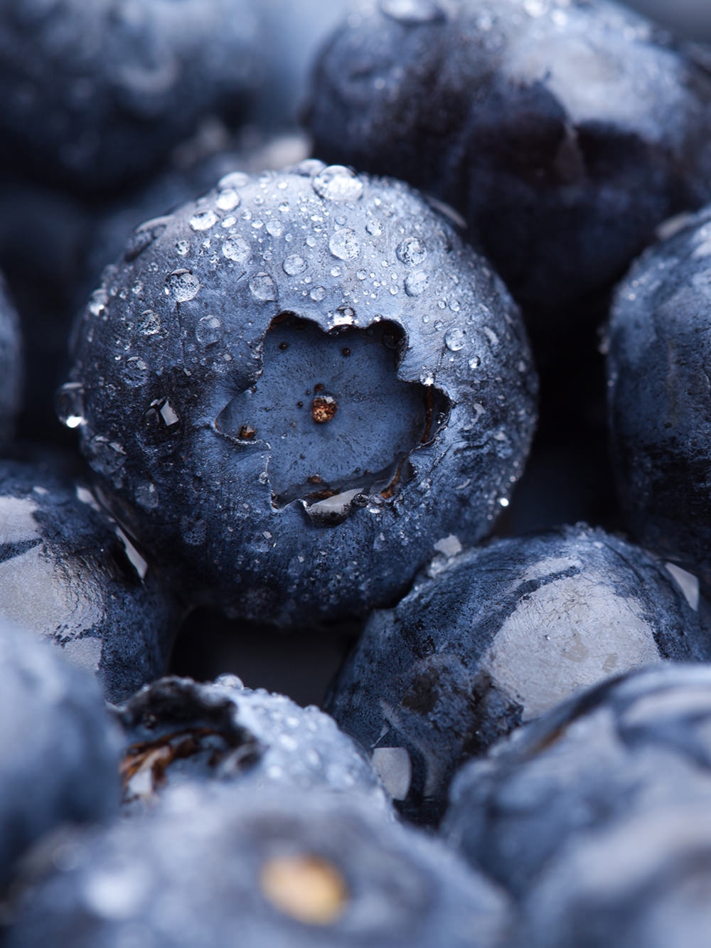 blueberries-plant60-phase-two-blok-plant-based-meal-plan.jpg