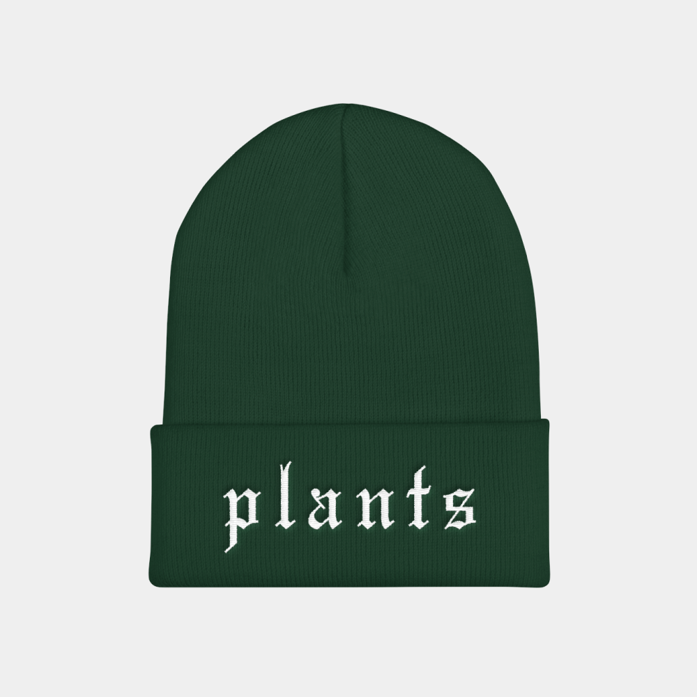 SPRUCE / WHITE