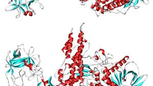 Botulinum toxin