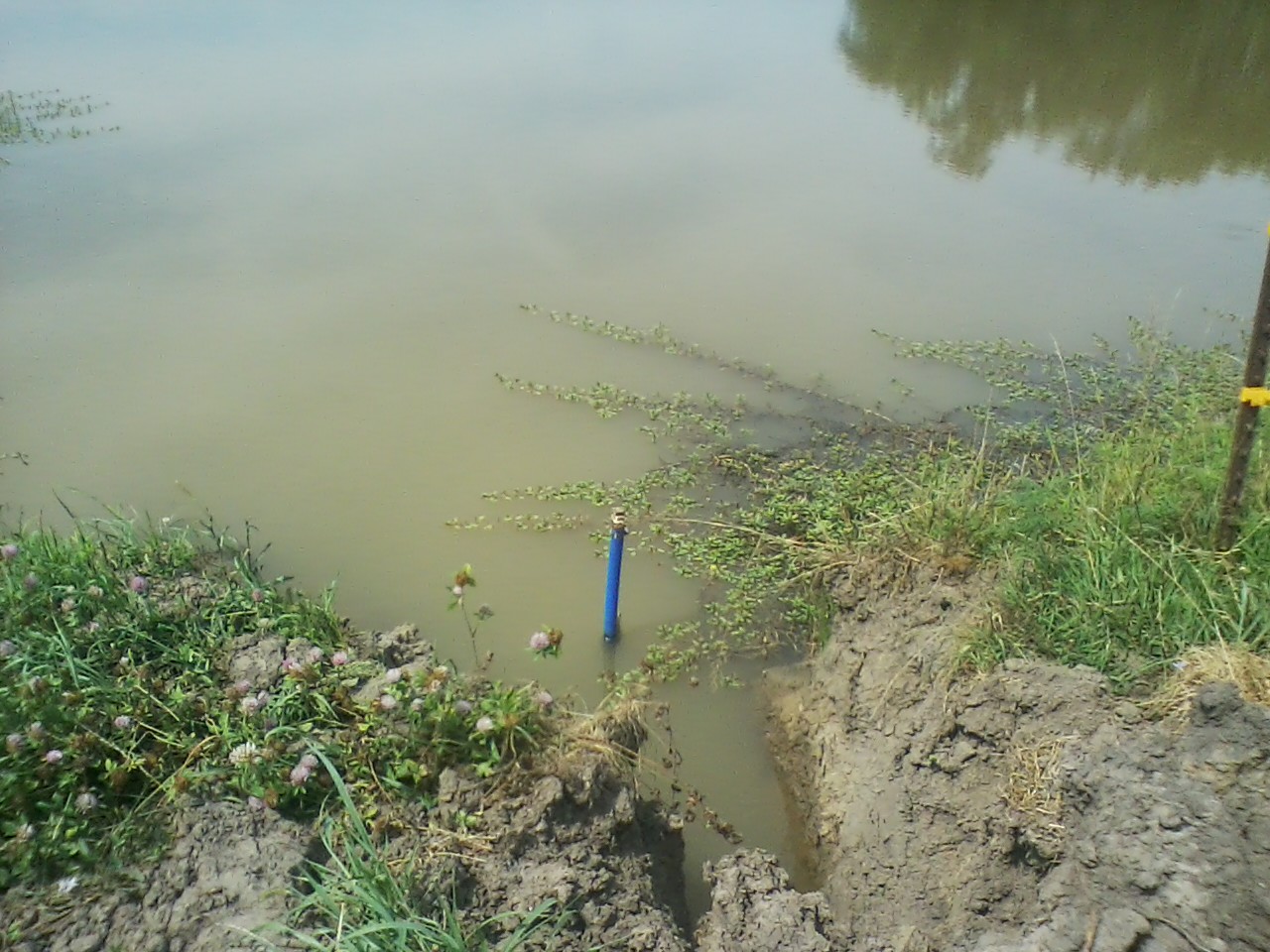 blue poly pipe installed in pond and sealed with bentonite.jpg